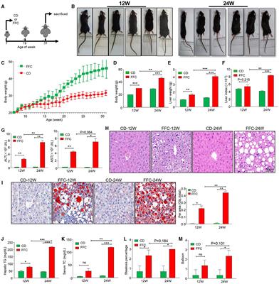 Nanoparticles alleviate non-alcoholic steatohepatitis via ER stress sensor-mediated intestinal barrier damage and gut dysbiosis